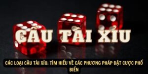 Cac-Loai-Cau-Tai-Xiu-Tim-Hieu-ve-Cac-Phuong-Phap-Dat-Cuoc-Pho-Bien