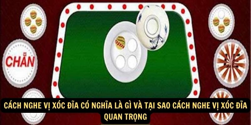 Cách Nghe Vị Xóc Đĩa Có Nghĩa Là Gì Và Tại Sao Cách Nghe Vị Xóc Đĩa Quan Trọng