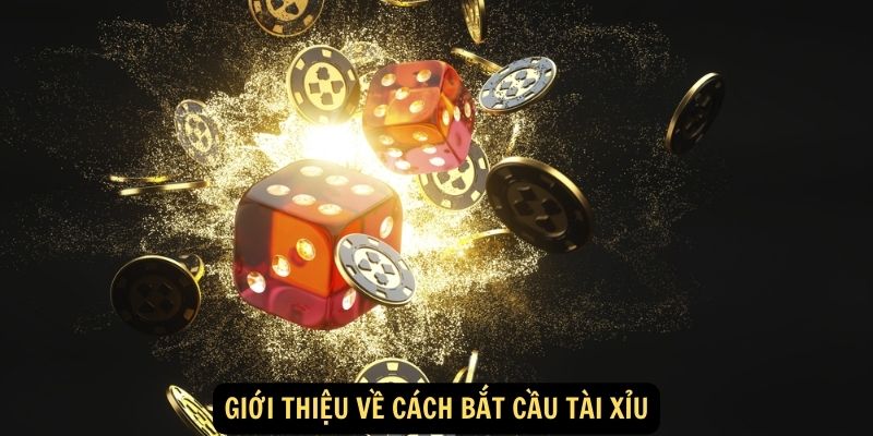 Giới thiệu về cách bắt cầu tài xỉu