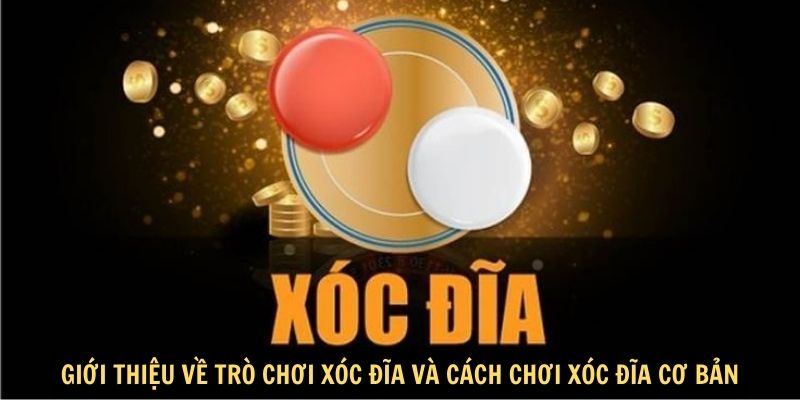 Giới thiệu về trò chơi xóc đĩa và cách chơi xóc đĩa cơ bản