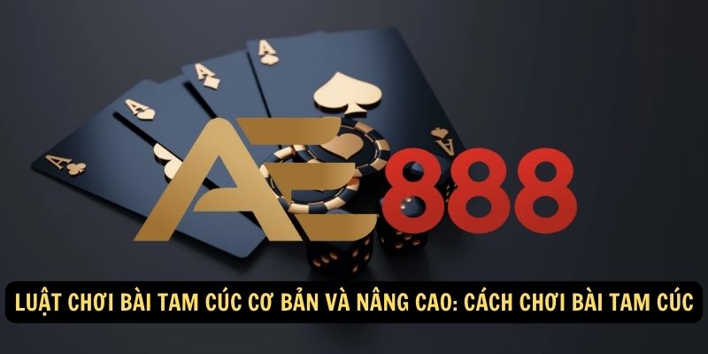 Luật chơi bài Tam Cúc cơ bản và nâng cao: Cách chơi bài Tam Cúc