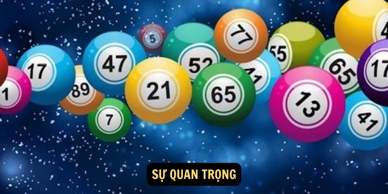 Sự quan trọng