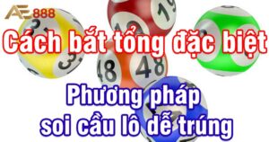 cach bat tong dac biet