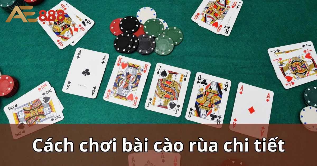 Chia sẻ các cách chơi bài cào rùa thắng liên tục